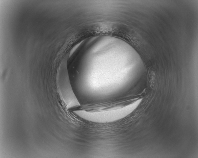 X0000056371153200509161847