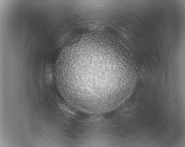 X0000056371154200509161847