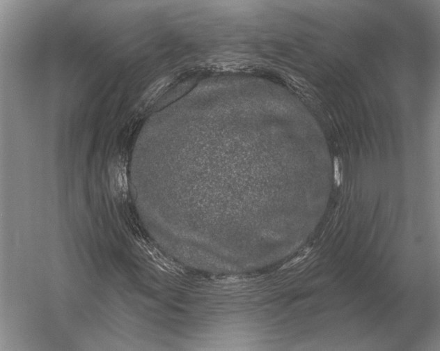 X0000056371155200509161847