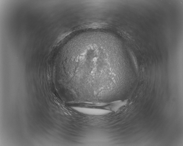 X0000056371158200509161847