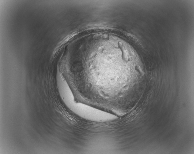 X0000056371159200509161847