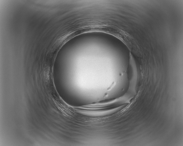 X0000056371161200509161847