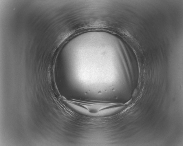 X0000056371162200509161847