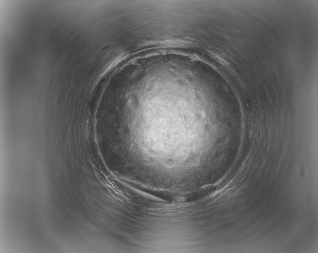 X0000056371163200509161847