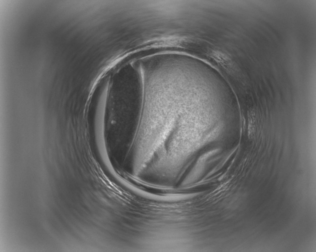 X0000056371164200509161847