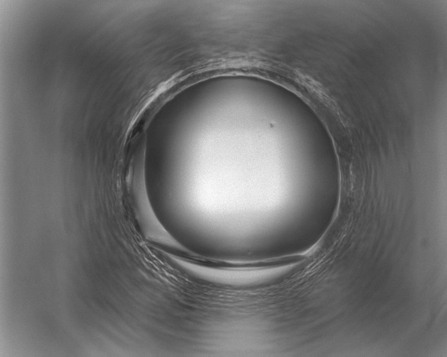 X0000056371165200509161847