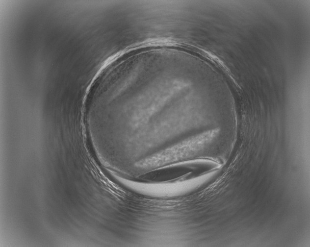 X0000056371168200509161847