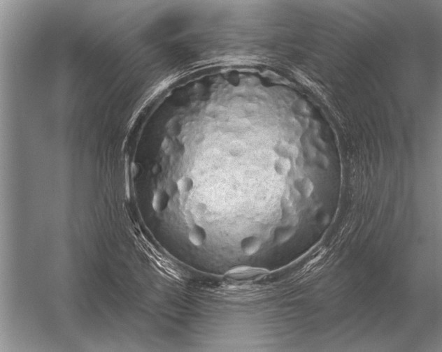 X0000056371171200509161847