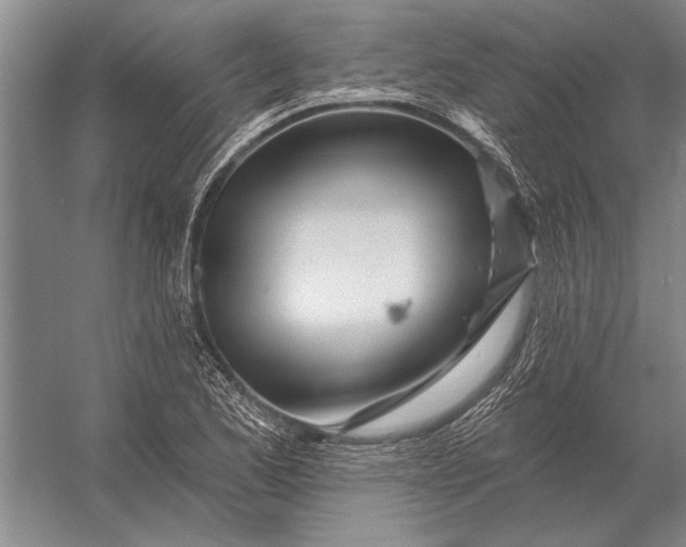 X0000056371173200509161846