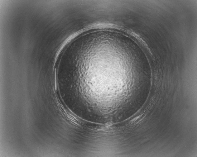 X0000056371175200509161846