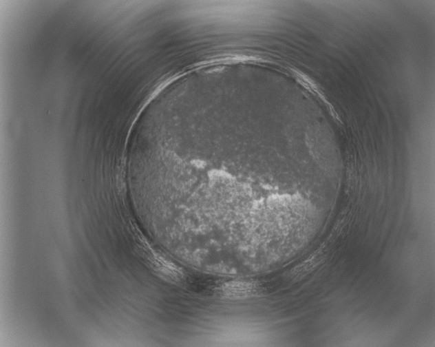 X0000056371178200509161846