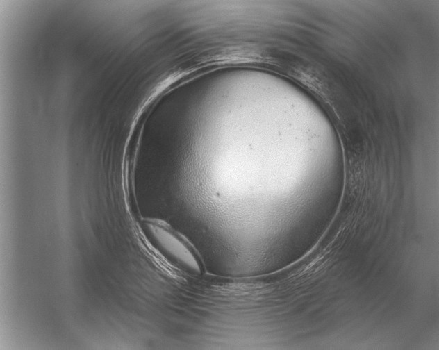 X0000056371179200509161846