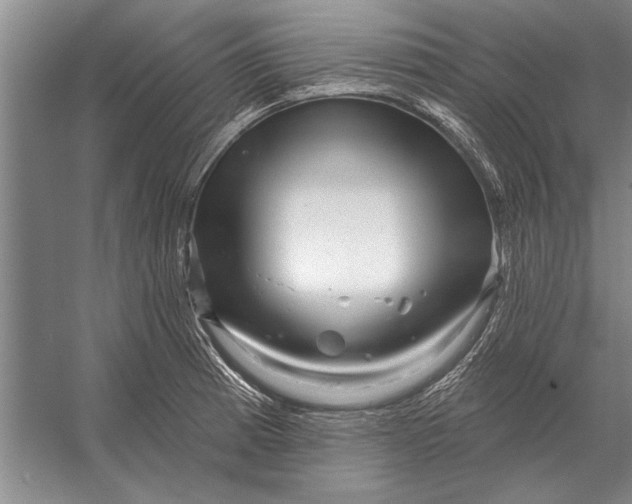 X0000056371185200509161846