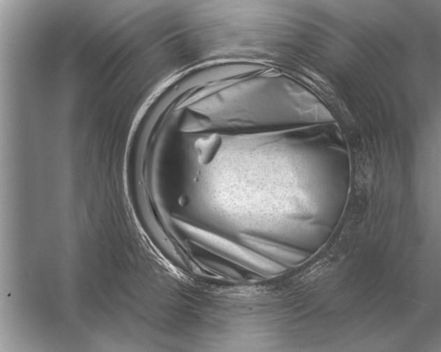 X0000056371188200509161846