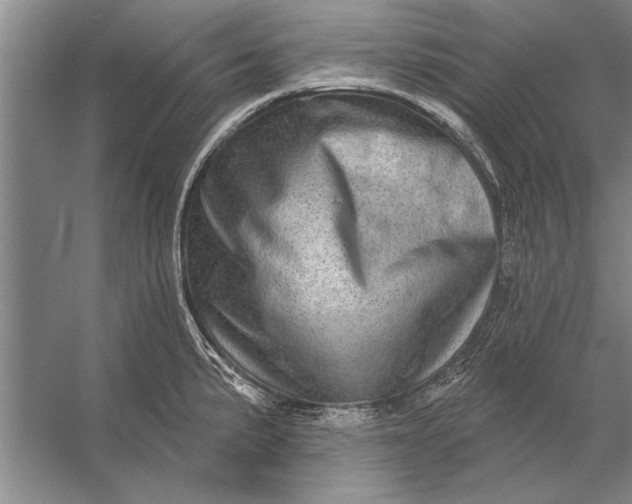 X0000056371191200509161846