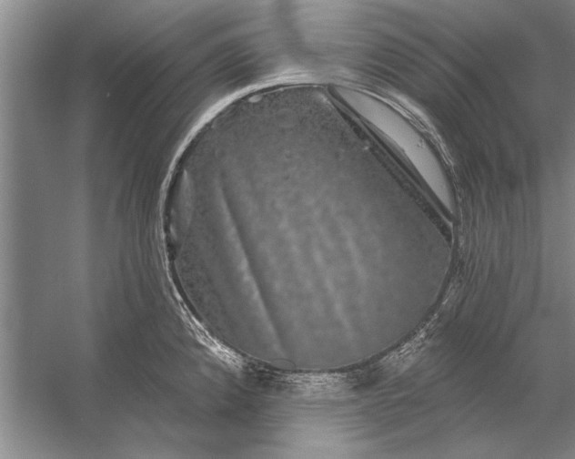 X0000056371192200509161846