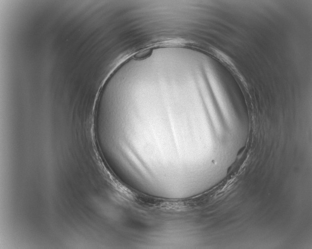 X0000056371194200509161846