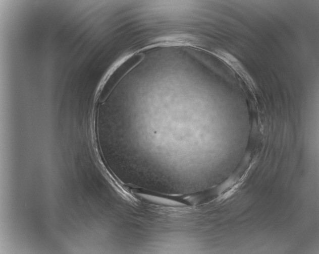 X0000056371196200509161846