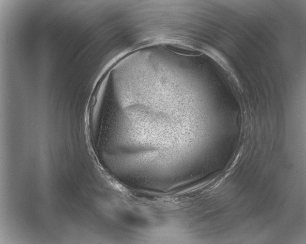 X0000056371198200509161846