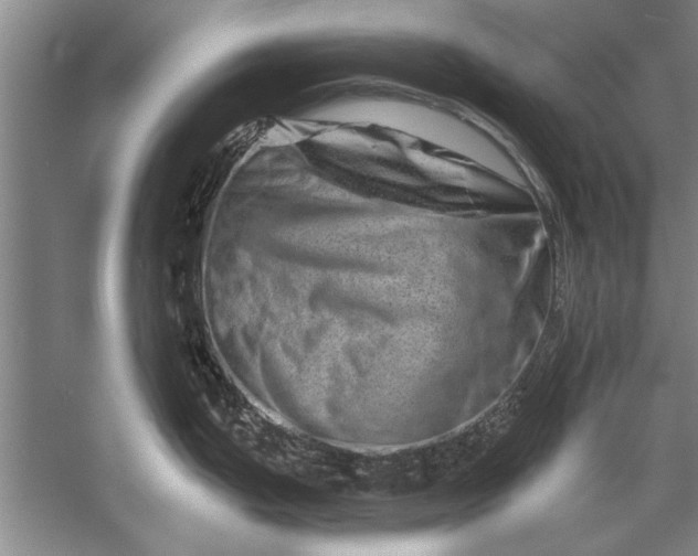 X0000056371199200509161846