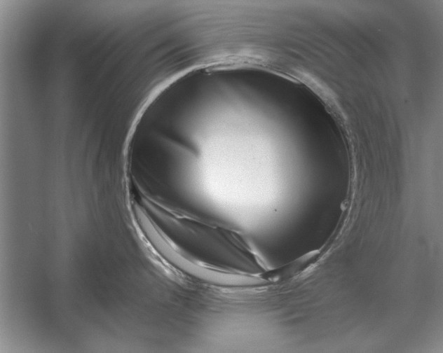 X0000056371200200509161846