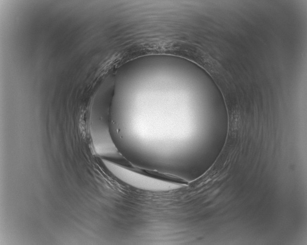 X0000056371202200509161845