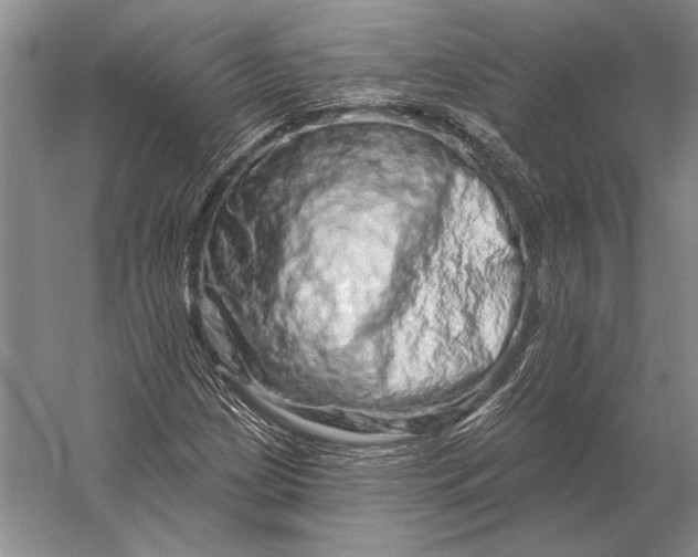 X0000056371209200509161845