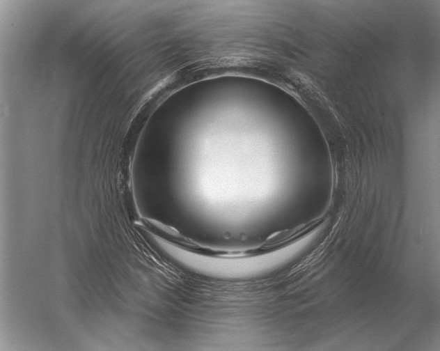 X0000056371210200509161845