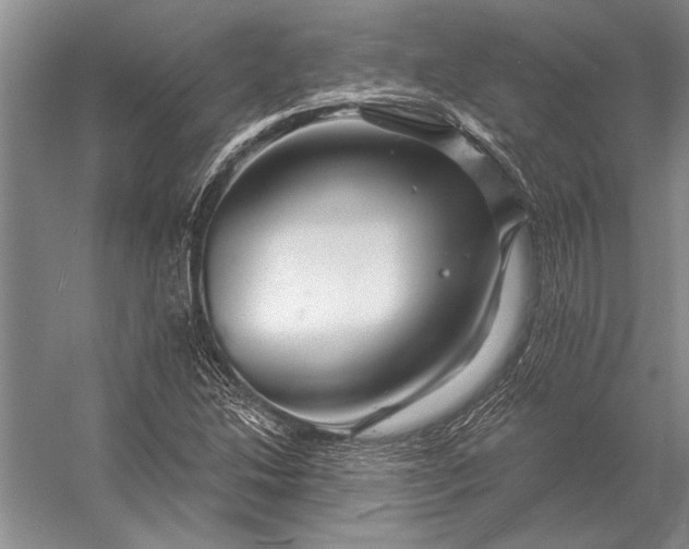 X0000056371214200509161845