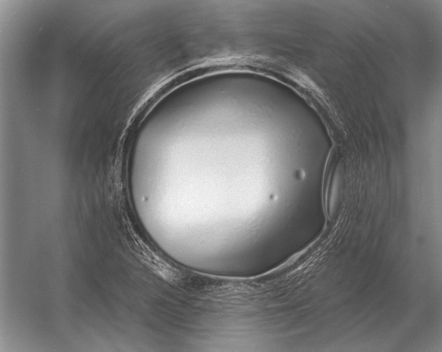 X0000056371216200509161845