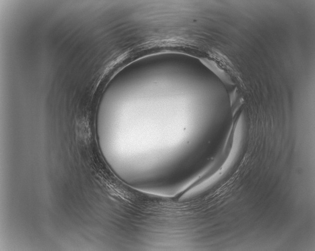 X0000056371218200509161845