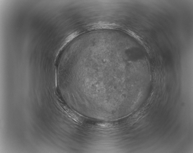 X0000056371219200509161846