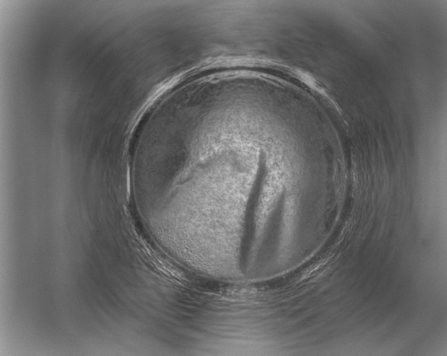 X0000056371221200509161846