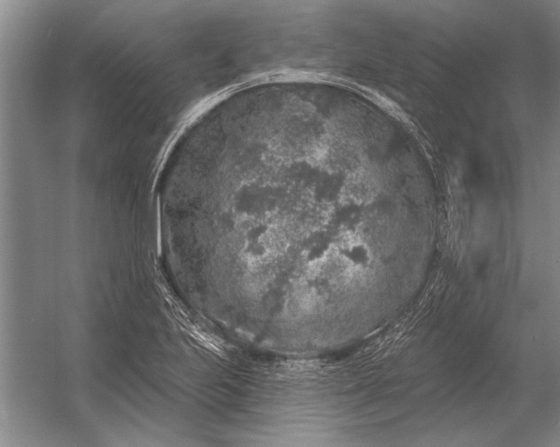 X0000056371223200509161846