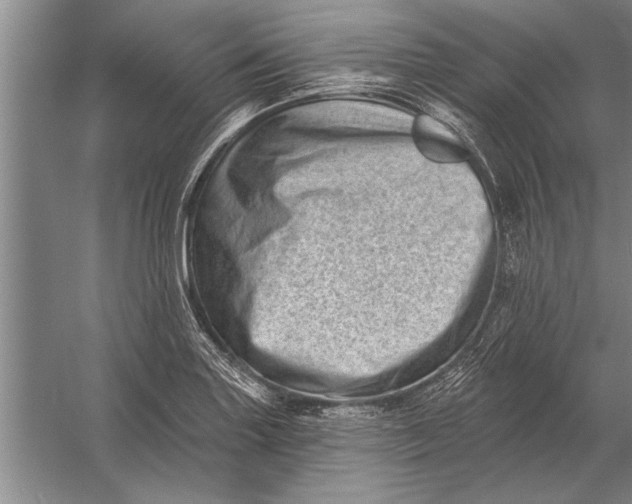 X0000056371227200509161846