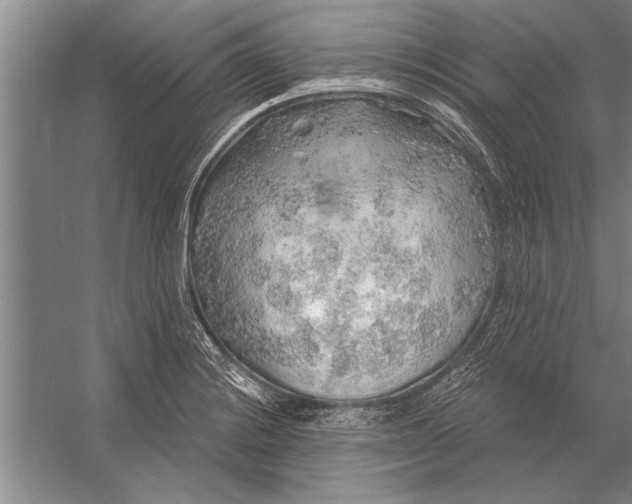 X0000056371228200509161846