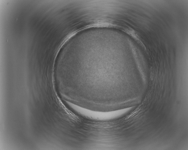 X0000056371229200509161846