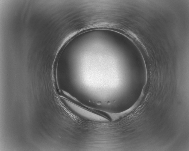 X0000056371230200509161846