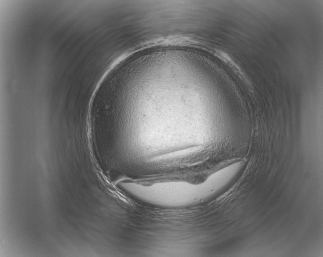 X0000056371232200509161846