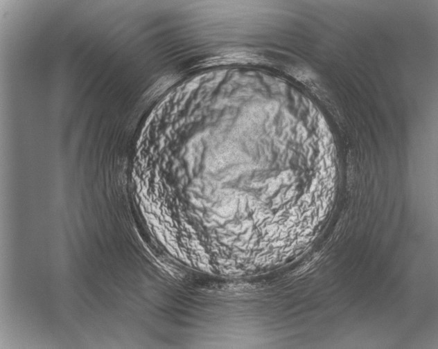 X0000056371233200509161846