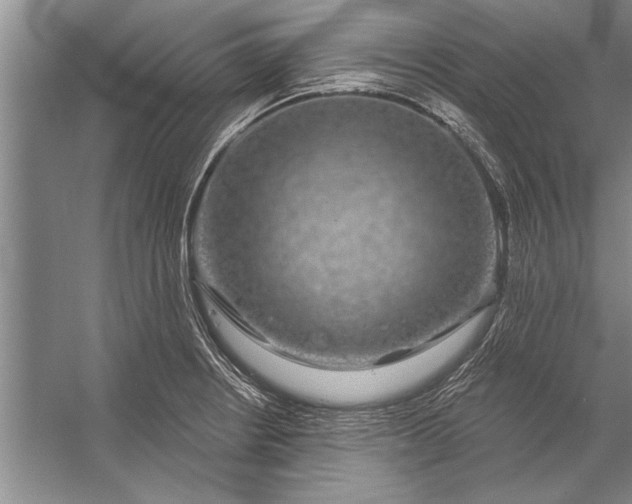 X0000056371234200509161846