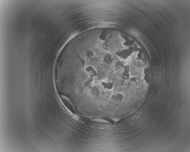 X0000056371235200509161846