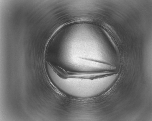 X0000056371236200509161846