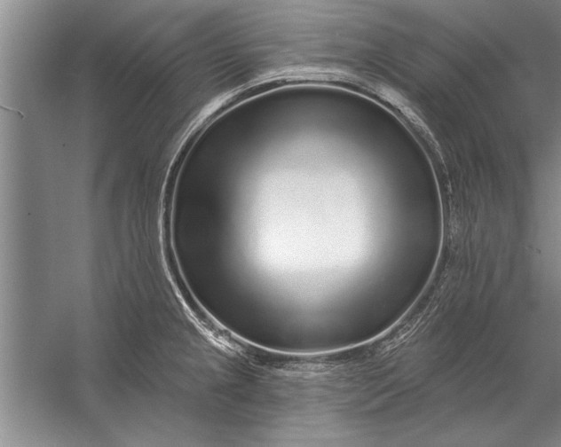 X0000056371237200509161846