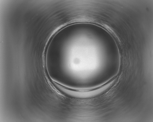 X0000056371238200509161846