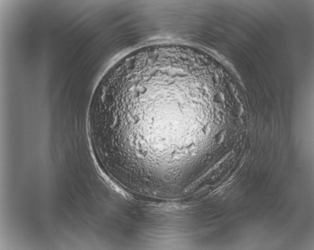 X0000056371239200509161846