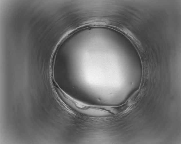 X0000056371240200509161846