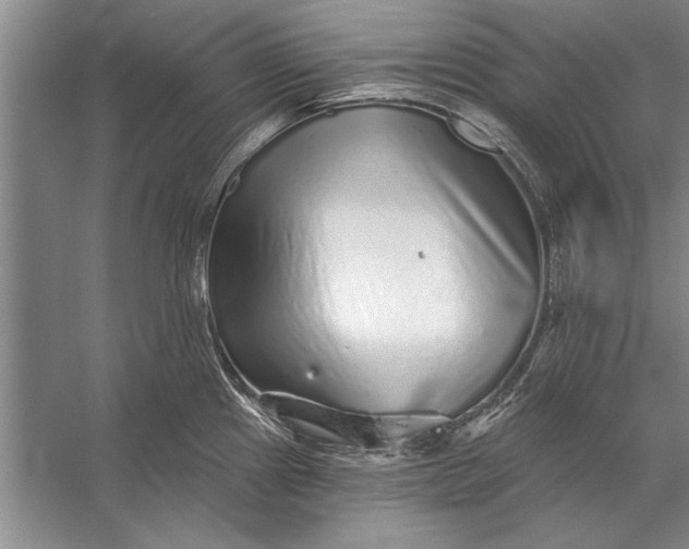 X0000056371241200509161846