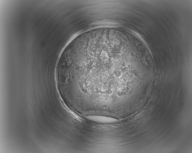 X0000056371243200509161846