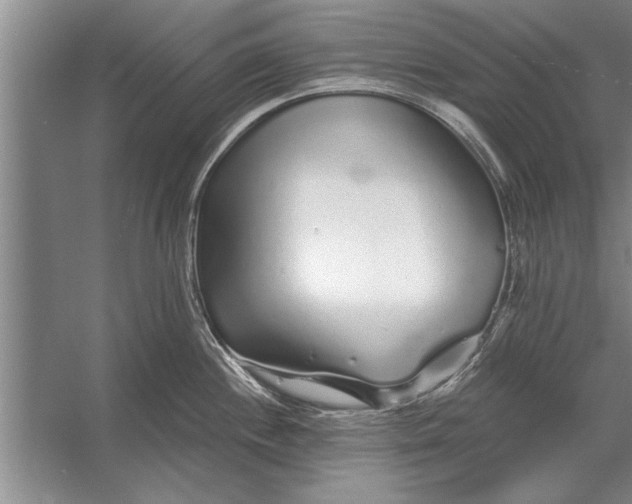 X0000056371244200509161846